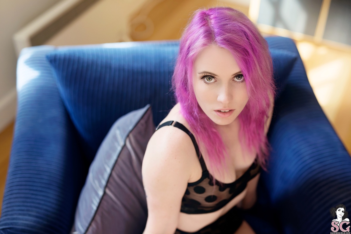 kittenplay-withspots-01.jpg