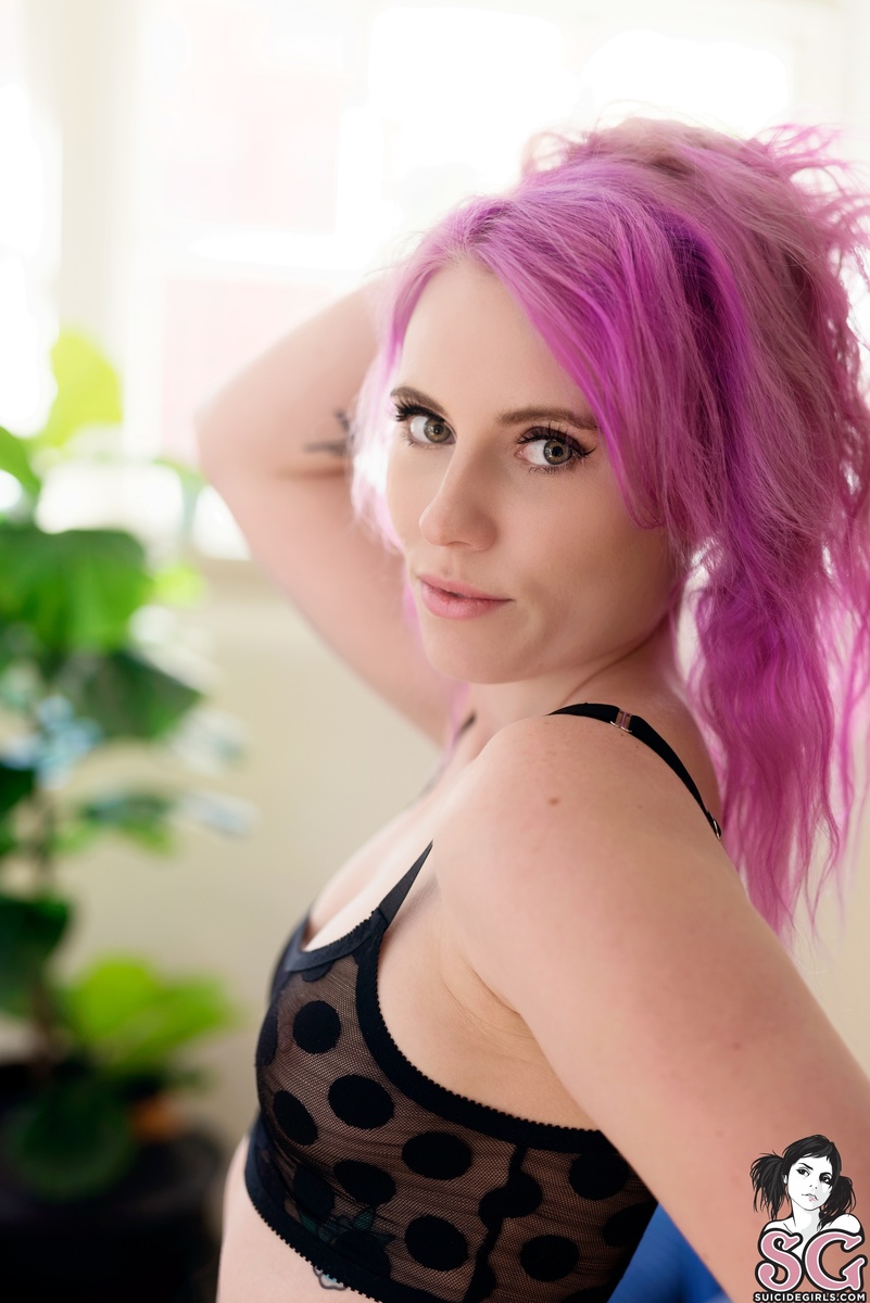 kittenplay-withspots-09.jpg