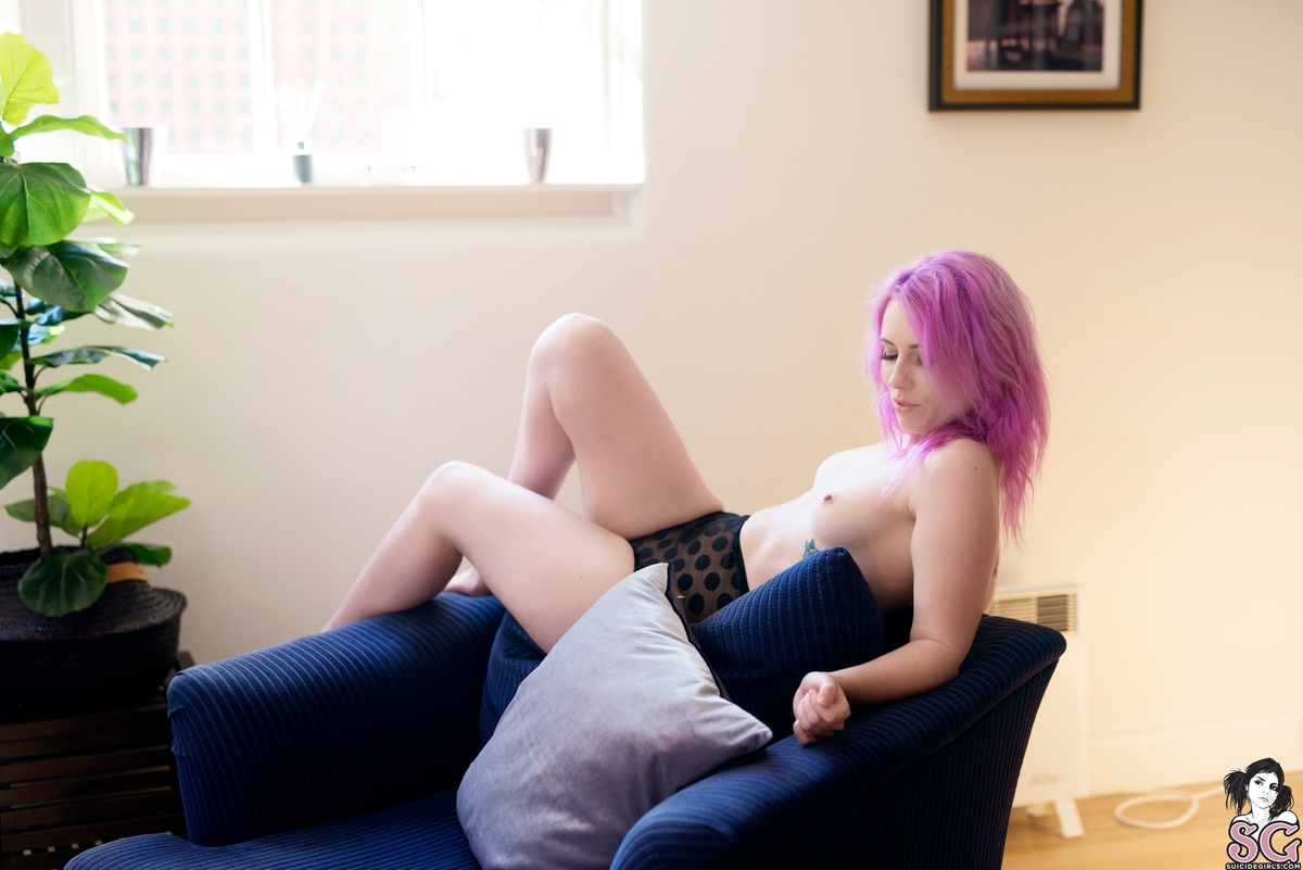 kittenplay-withspots-19.jpg