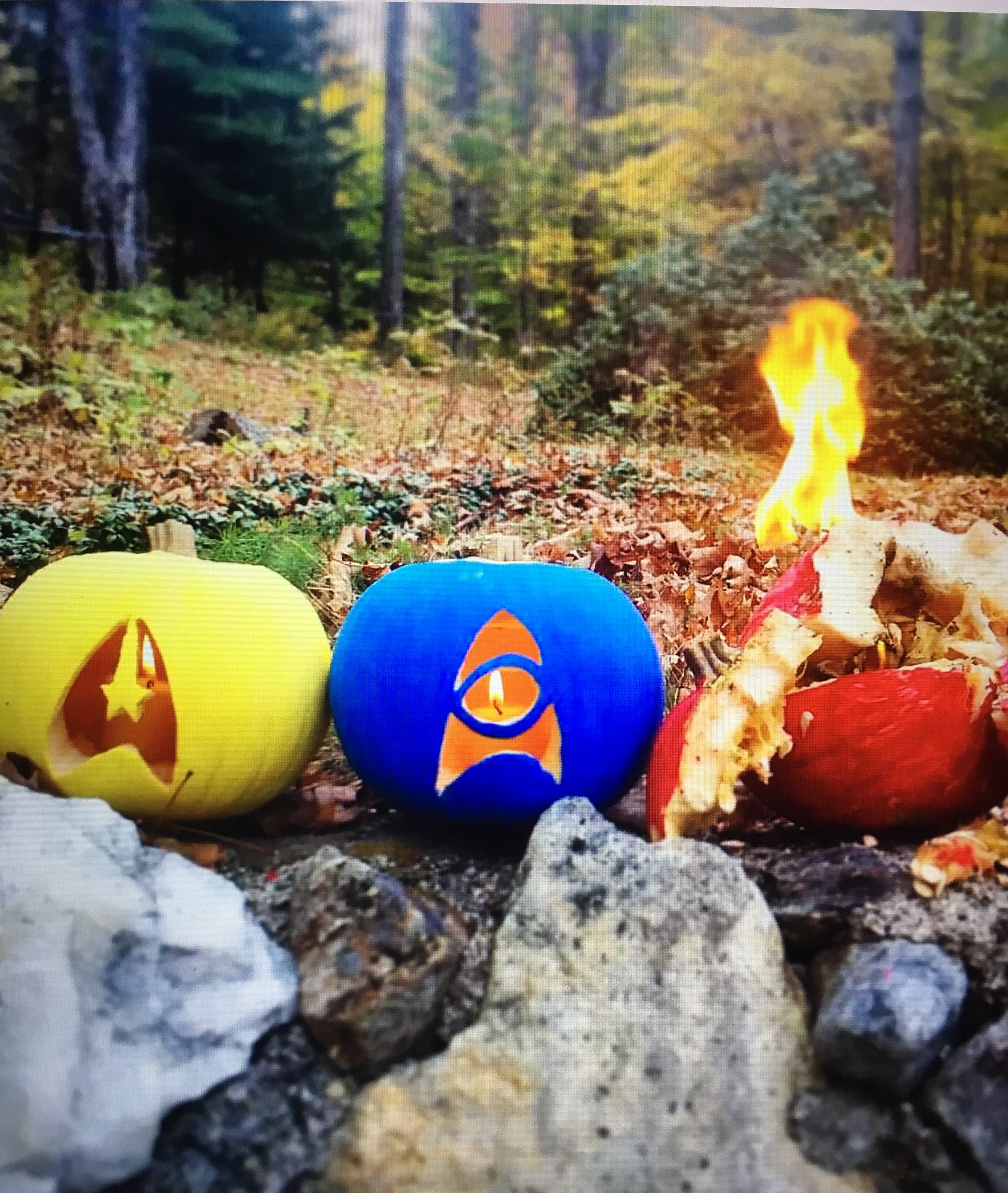 Trek Halloween
