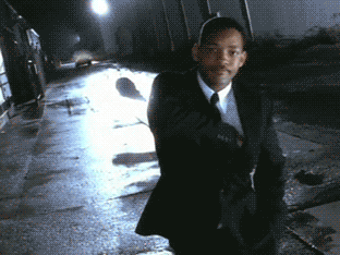 MIBFlashMemory.GIF