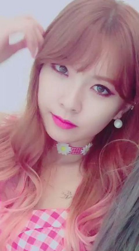 RIS.jpg
