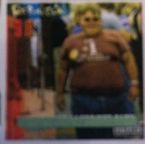 RIS.jpg