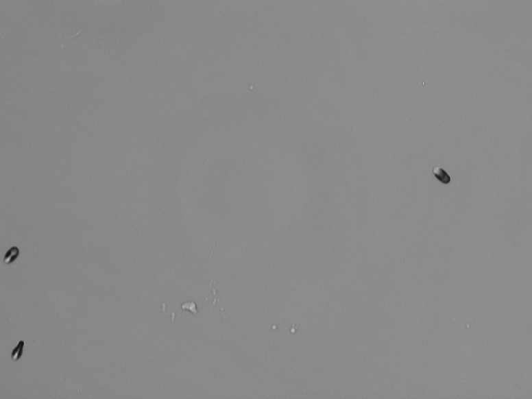 Image131020170950116402901648-7.bmp