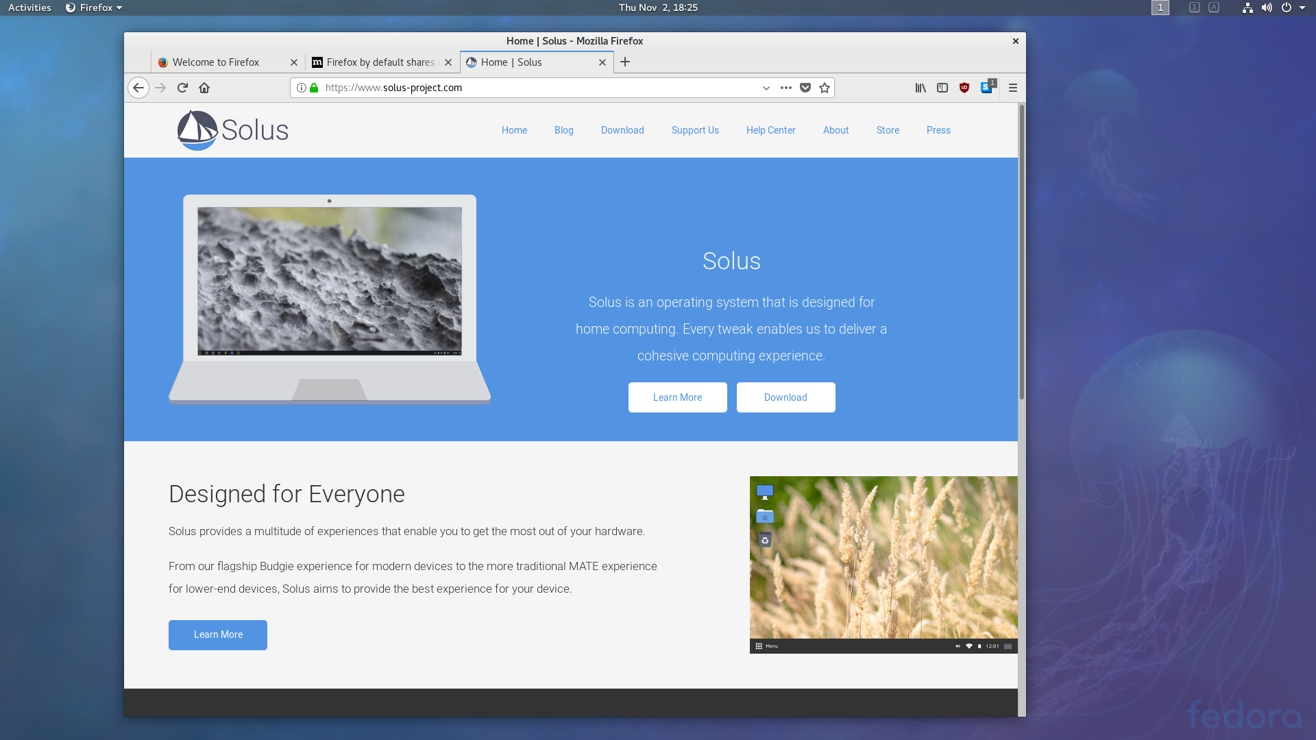 ff 57 on fedora 27 ws (adwaita-tweaks theme)