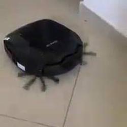 426014_big.jpg