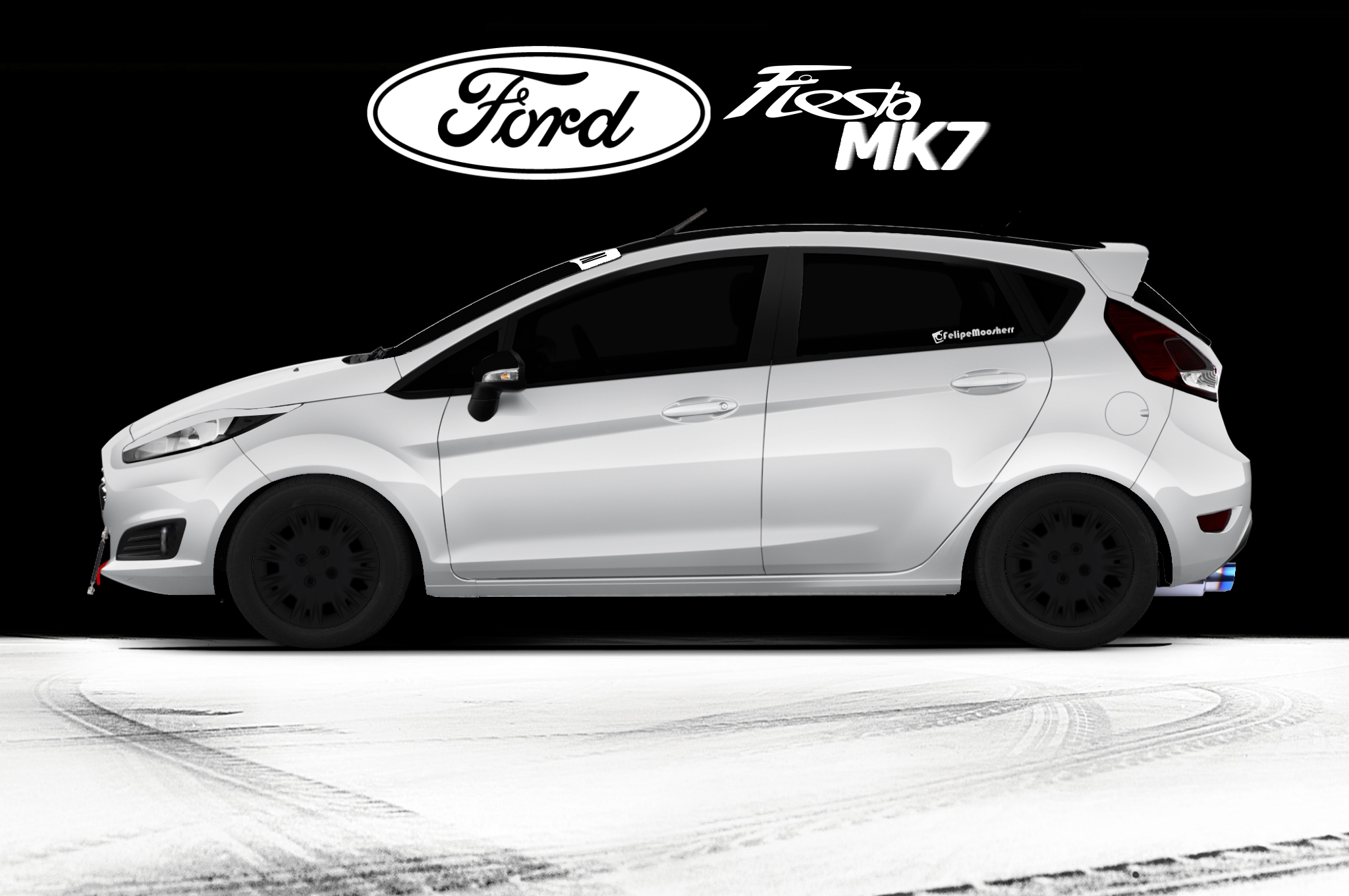 project fiesta