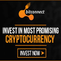 Bitconnect Profits