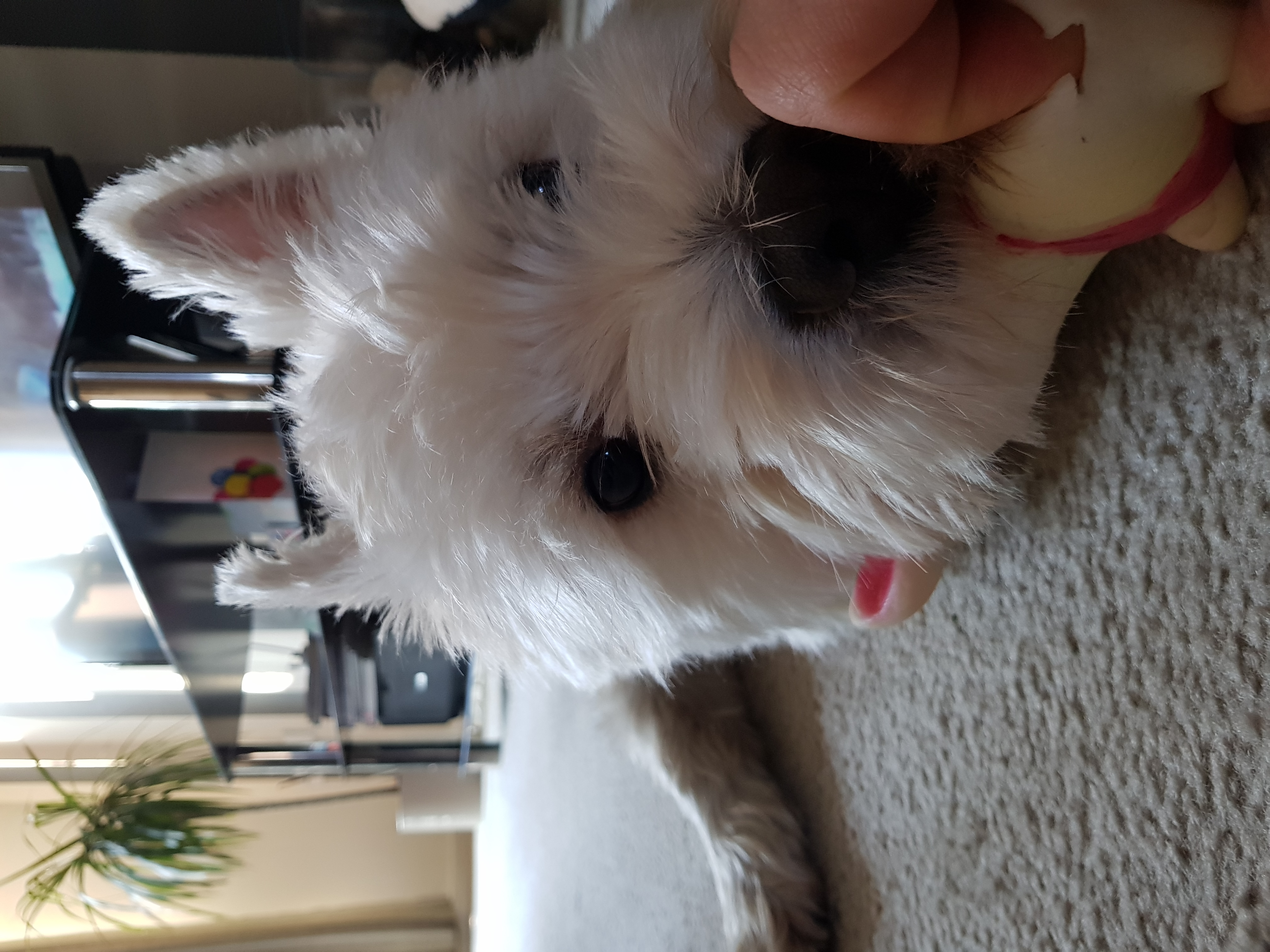 20170725_191837.jpg