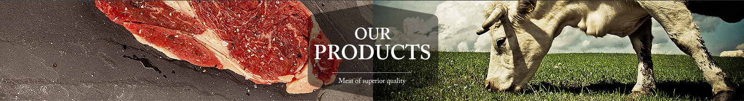 nos-produit-en.jpg