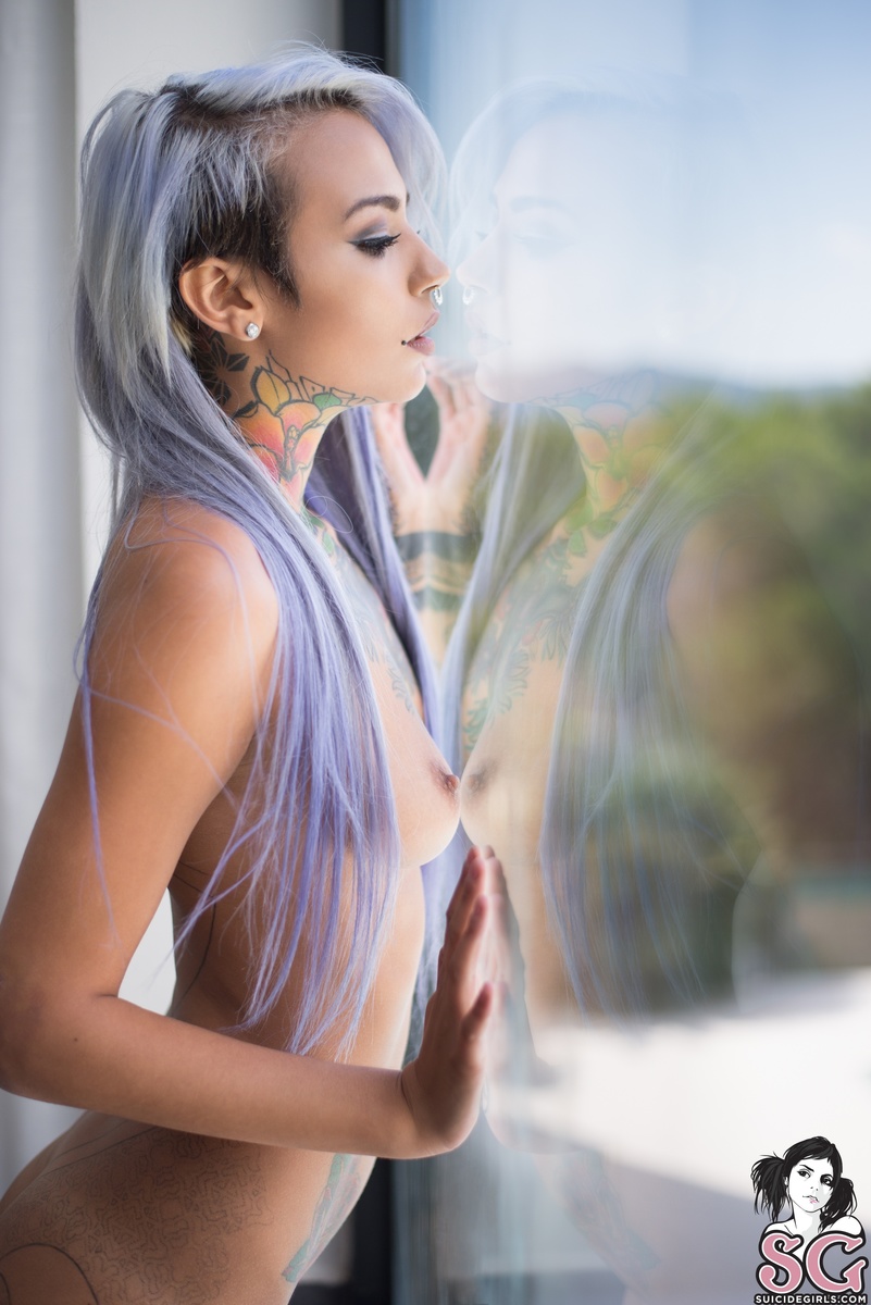 fishball-lavanda-29.jpg