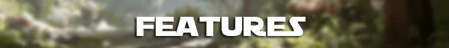 features.png