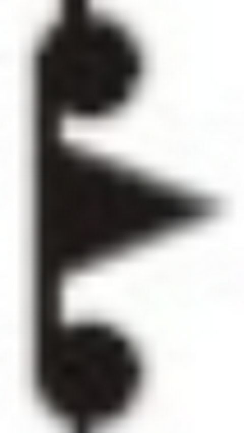 RIS.jpg
