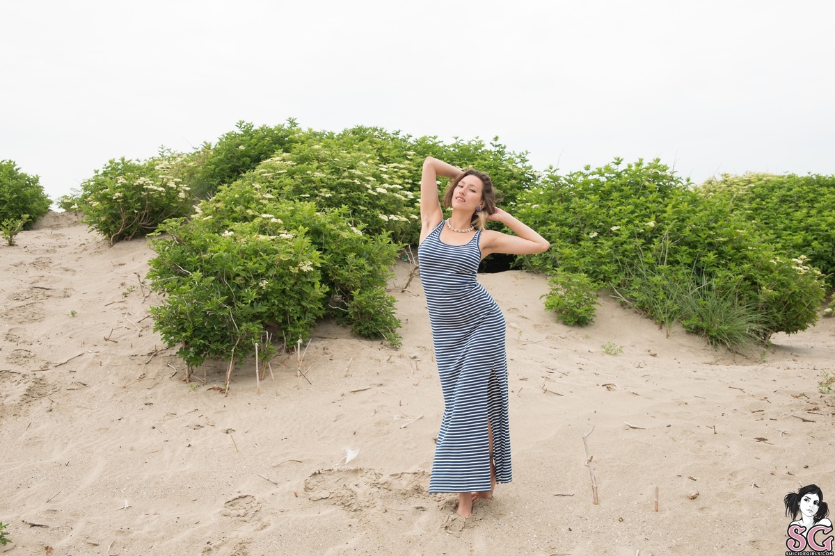 larabeard-dune-01.jpg