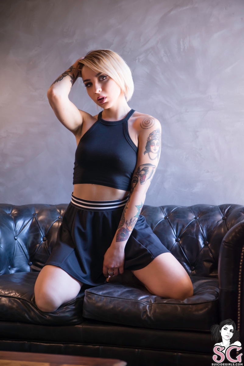 vandoll-takemedown-01.jpg