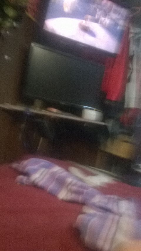 RIS.jpg