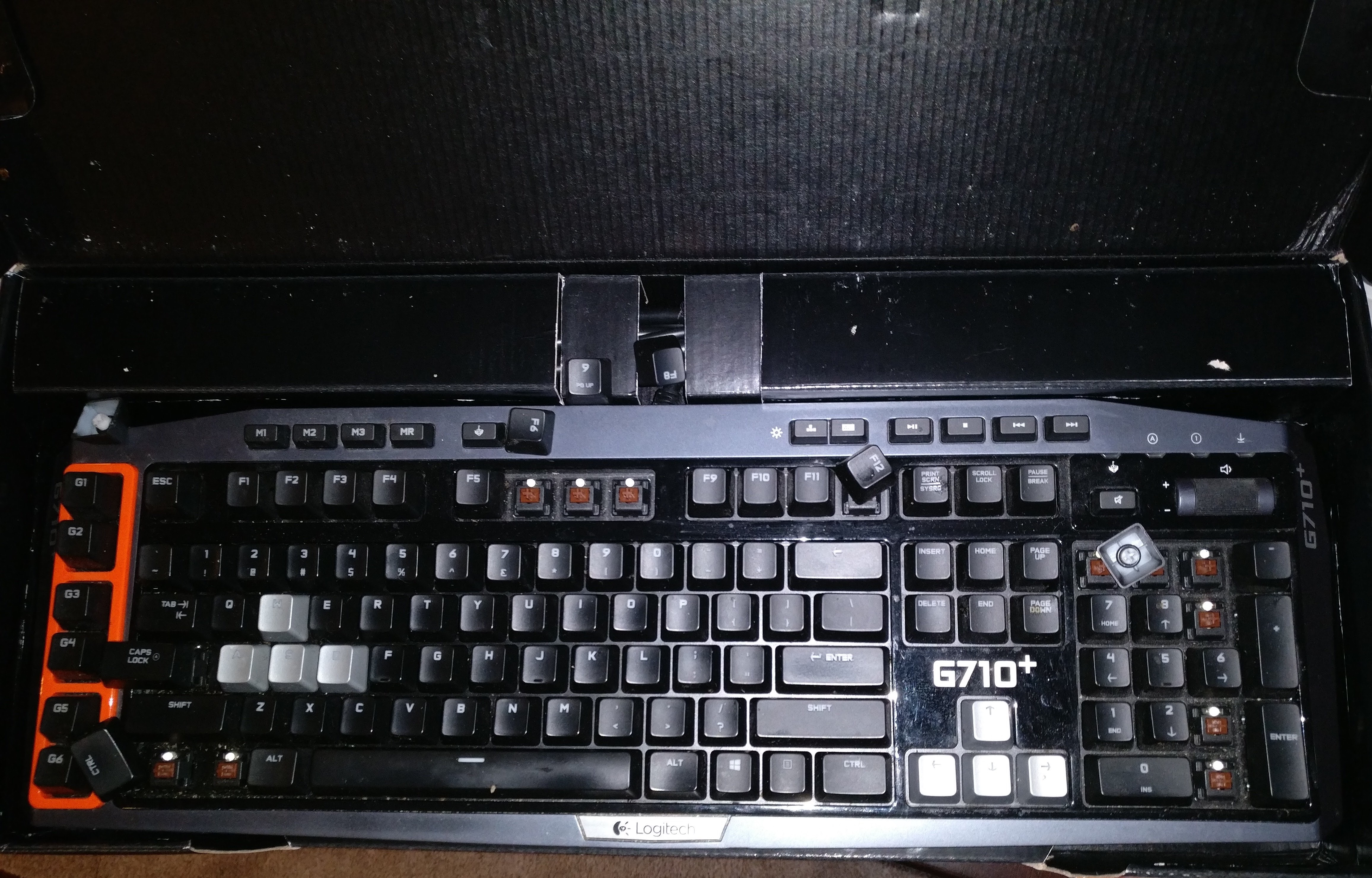 CFA36738-F842-4ED3-9370-5AC7DEF2B9E8.jpeg