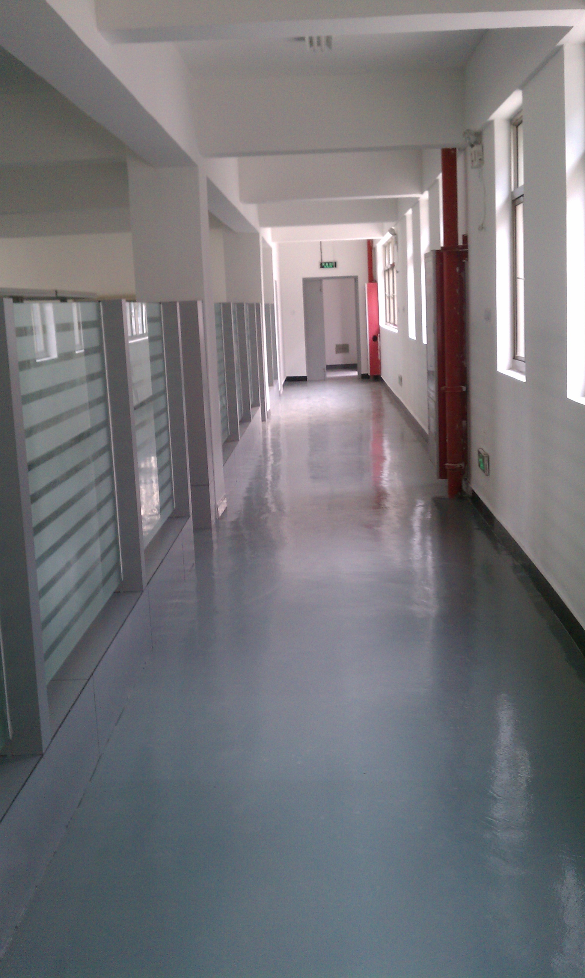 IMAG0558.jpg