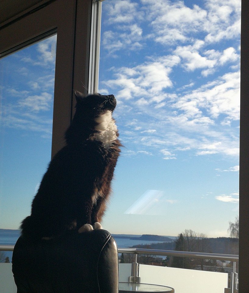 fenriz.jpg