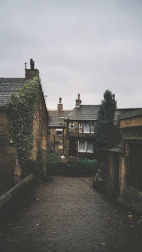 RIS.jpg