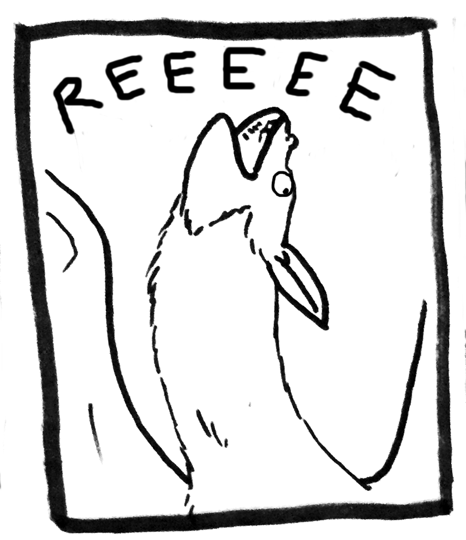 floof reeeee