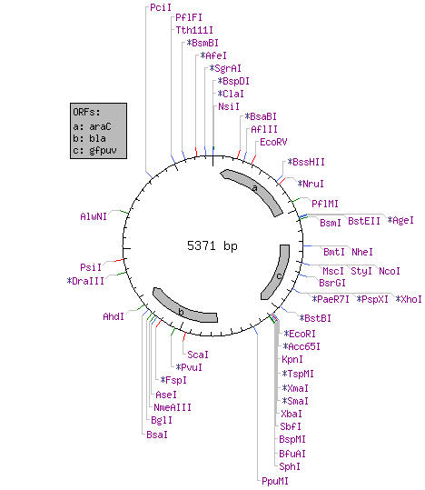 18af1c9b-U62637.5a1c47068c06e.cut1.gif