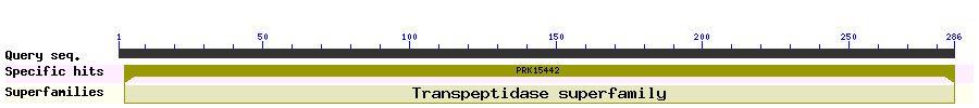 wrpsb.png