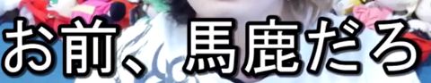RIS.jpg