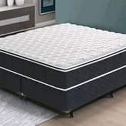 459059_big.jpg