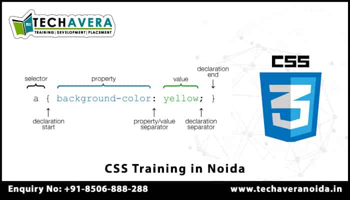 CSS Training in Noida