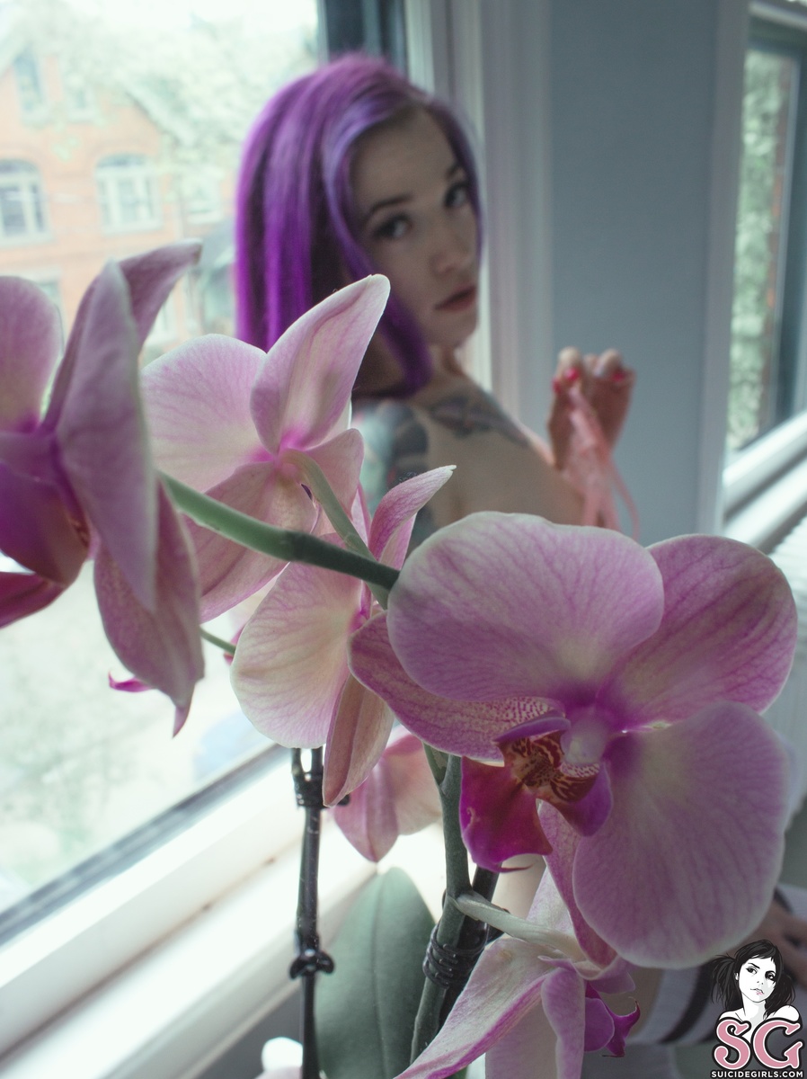viciousfeline-wildorchid-19.jpg