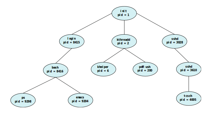 Tree of Processes