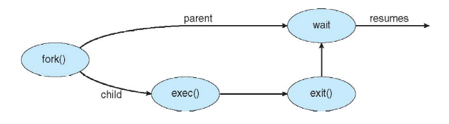 Unix Fork and Exec