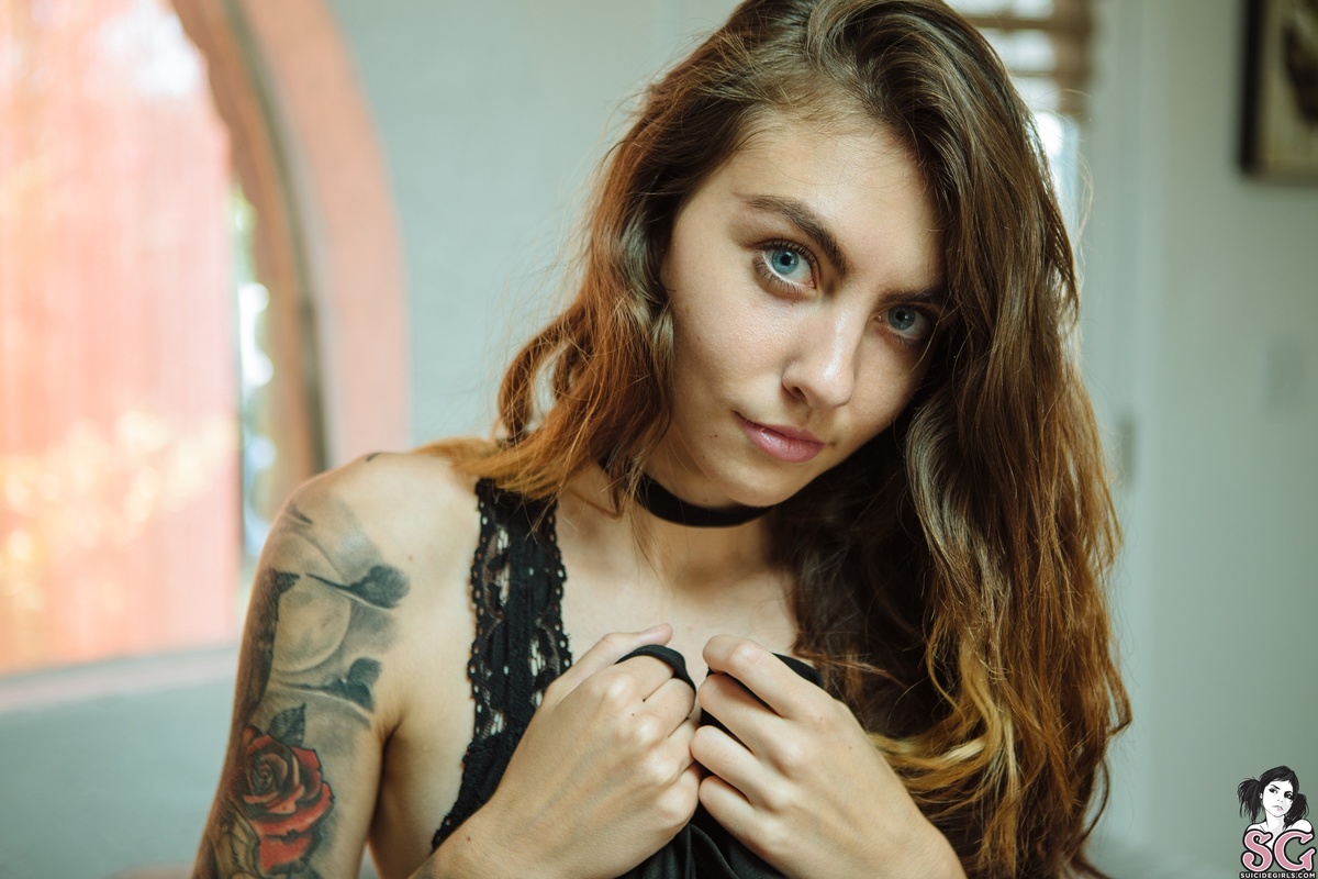 somer-aristocat-09.jpg