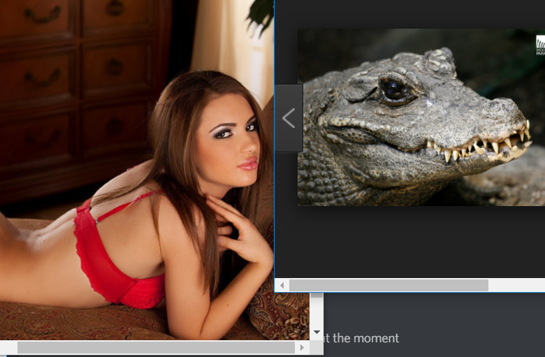 Croclady