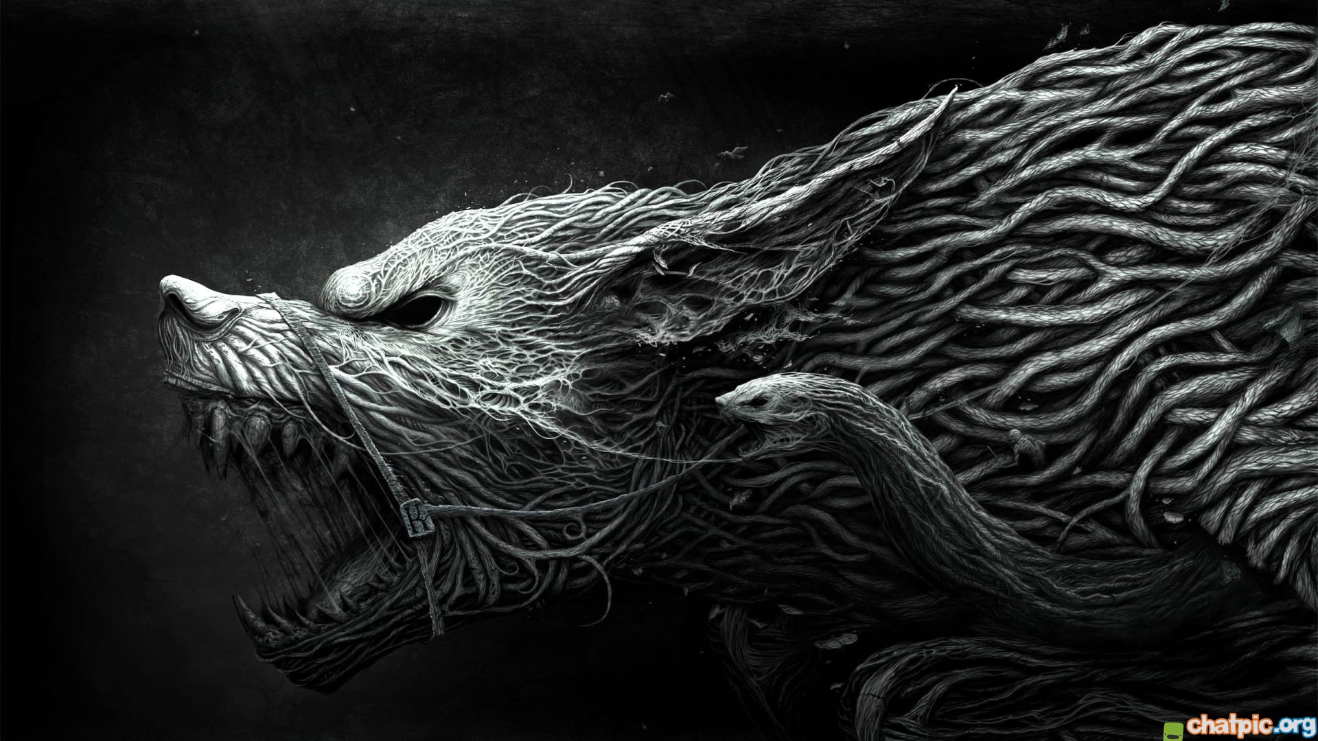 wolf