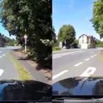 467526.jpg