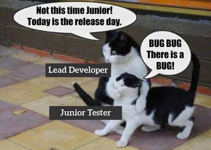 bea1c5e3-c422-4db9-b821-d9b2f76ce132-original.jpeg