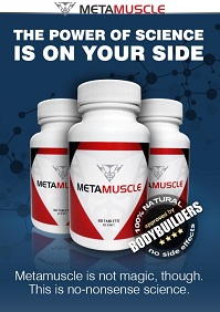 Metamuscle2