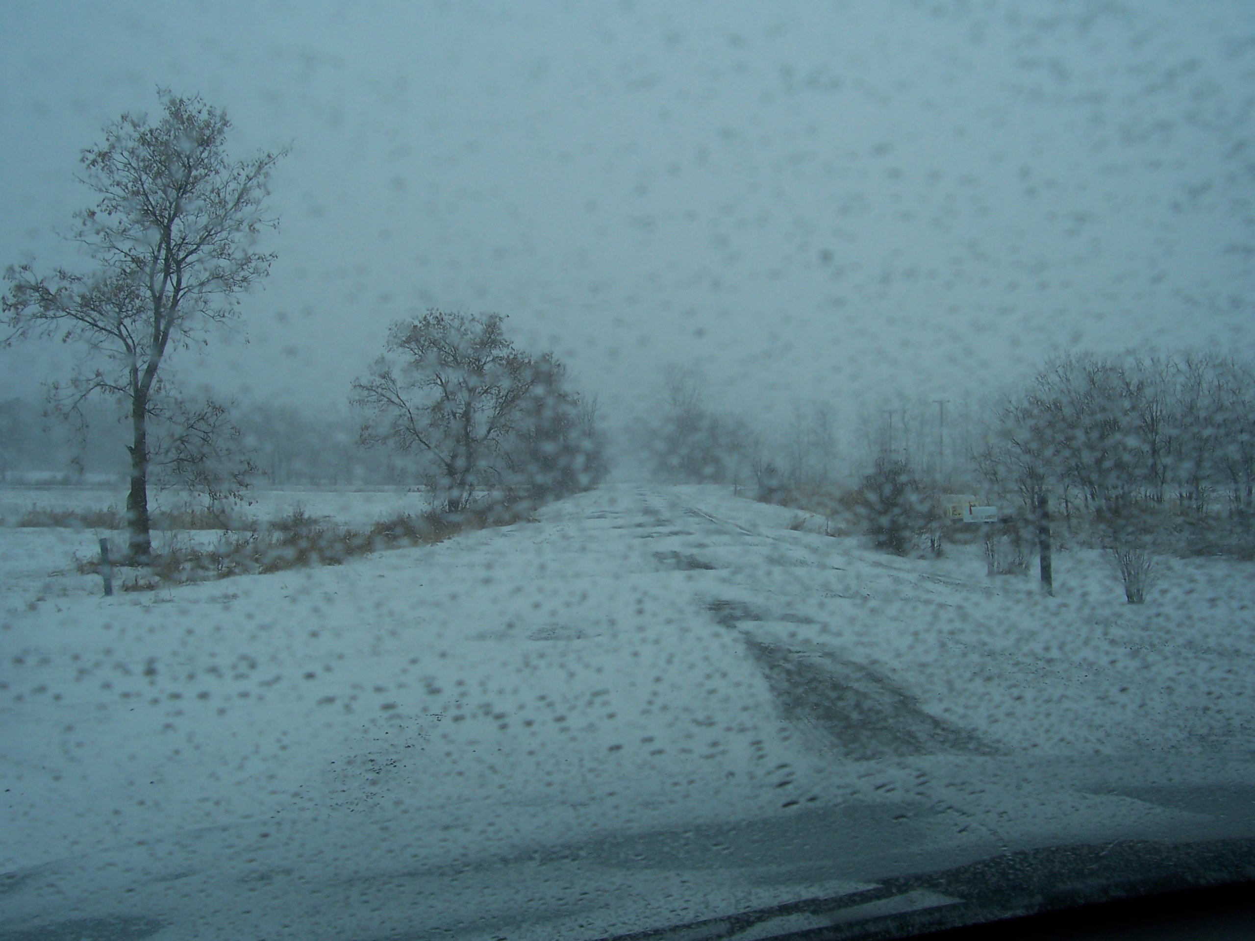 Winter