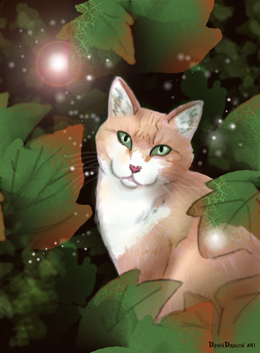 cutecat.png