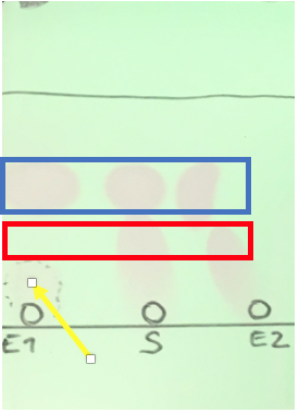 TLC plate