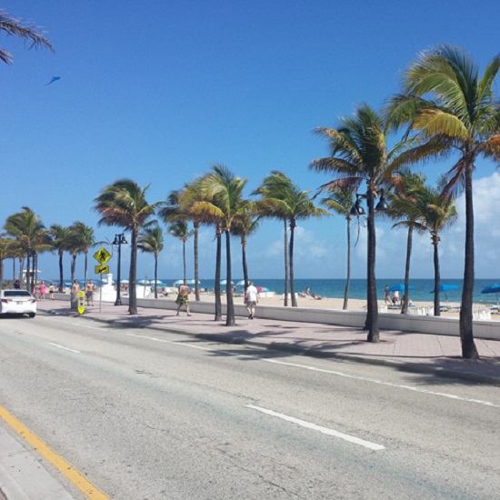 Utforska naturskönheten i Punta Cana