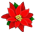pointsettia.png