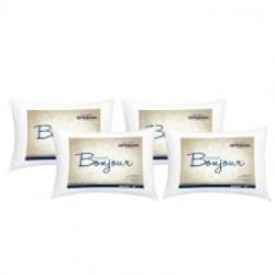 481348_big.jpg