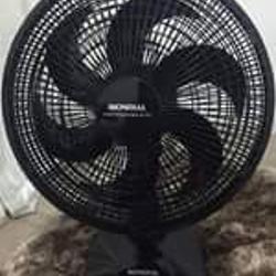 481628_big.jpg