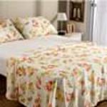 481767.jpg