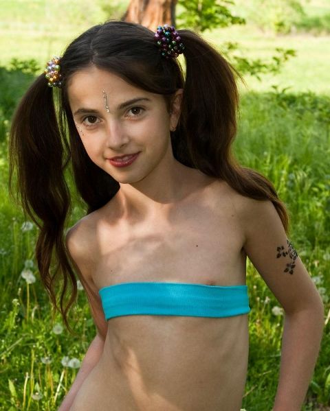 RIS.jpg