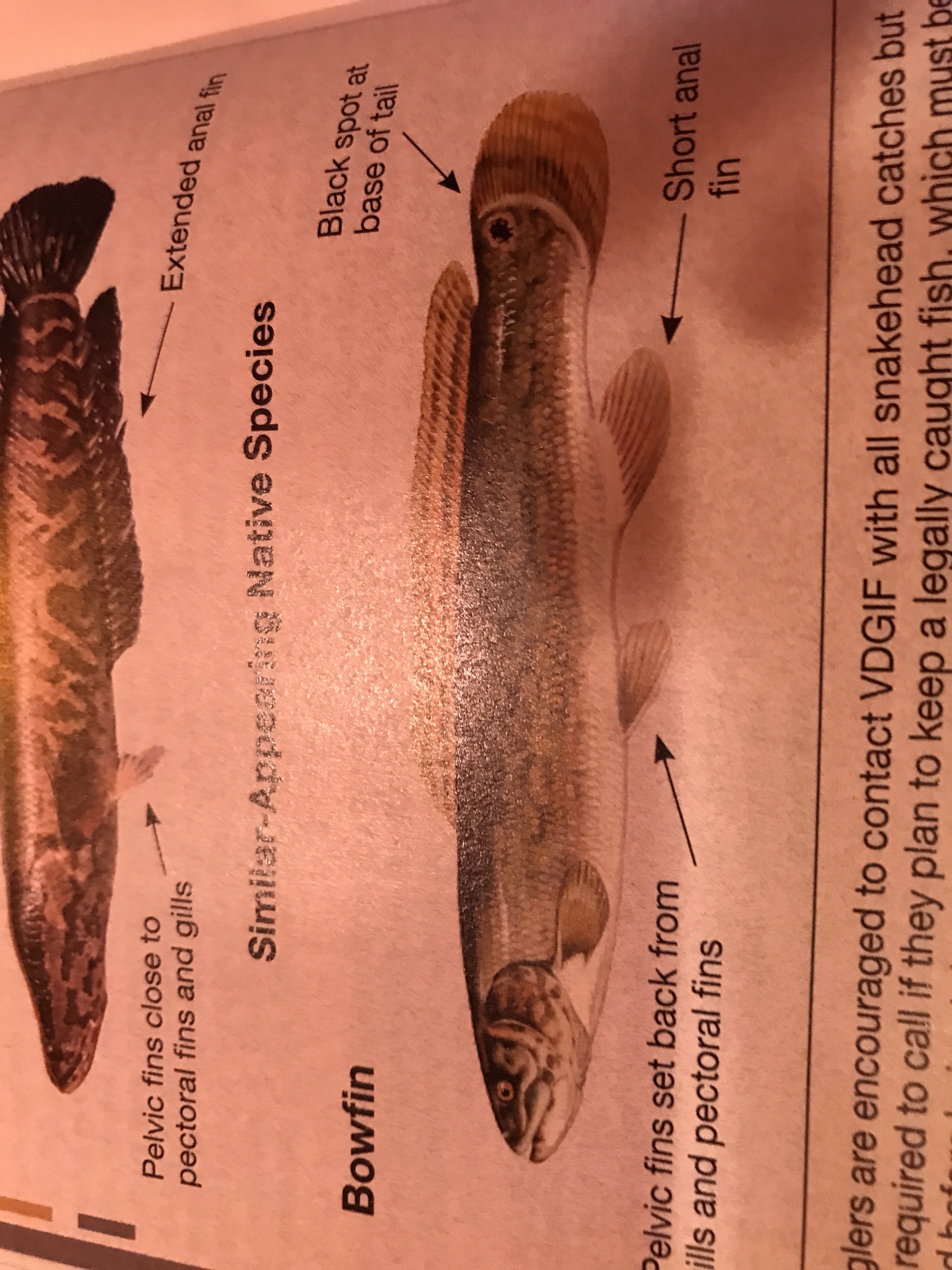 file.jpg