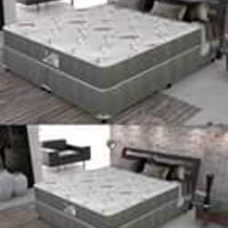 485434_big.jpg